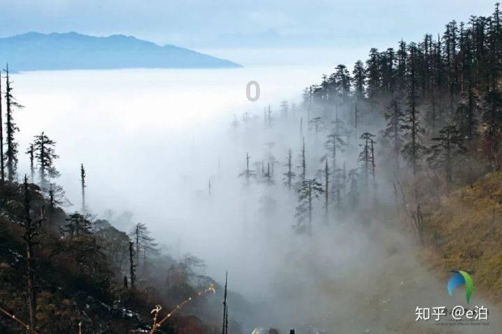 拯救机智男孩
